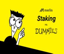 marlin pond staking|Marlin staking for Dummies .